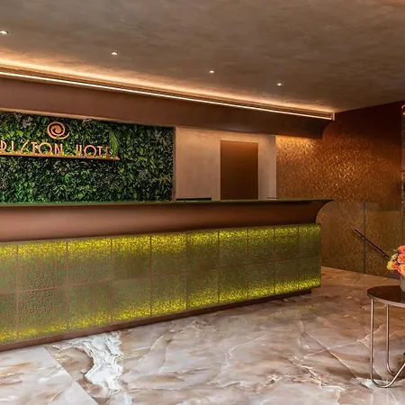 阿里斯顿酒店 4* 米兰